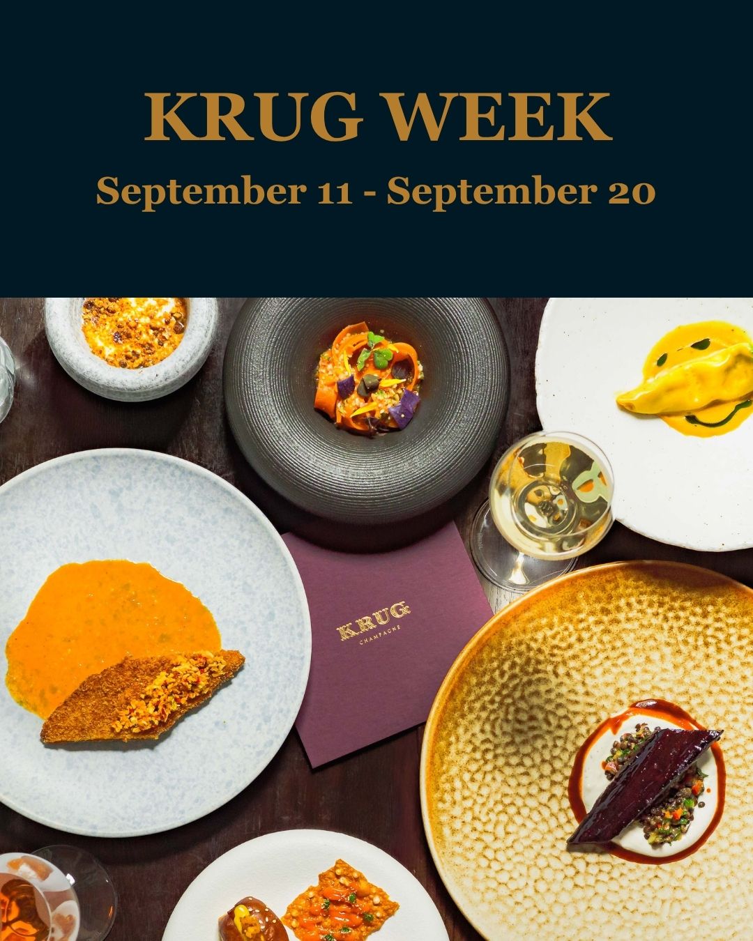 POM - Mobile - Home Page - Krug (1080 x 1350 px)