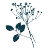 PublishedonMain_Logo (1)